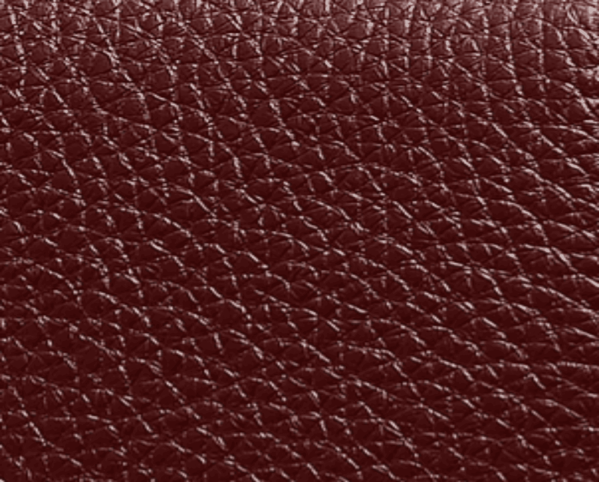 ANNIA Tote