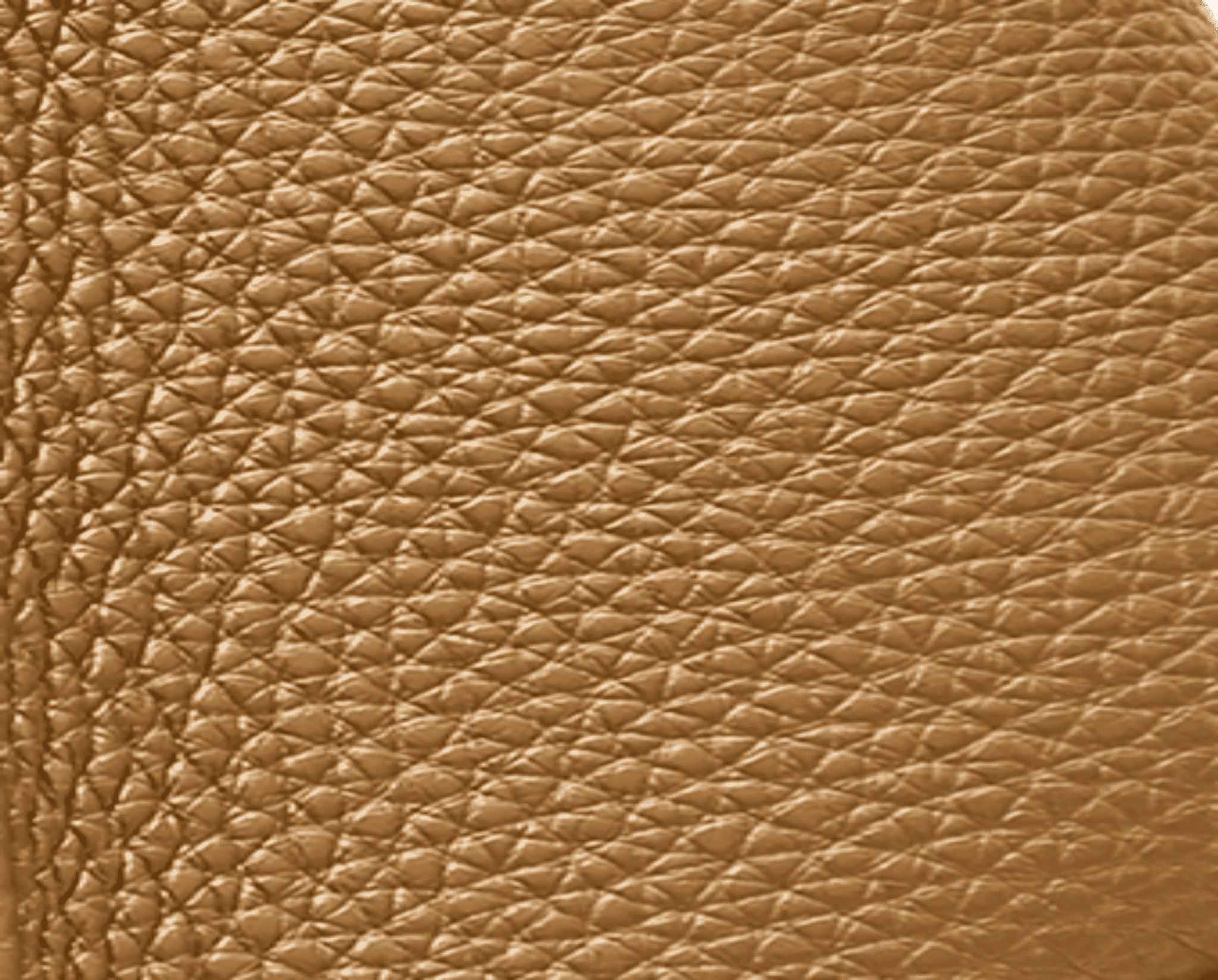 LUCILLA All-IN-ONE WALLET