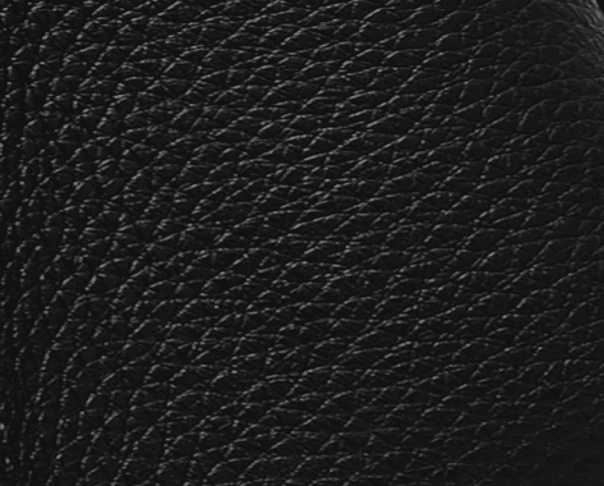 ANNIA Tote